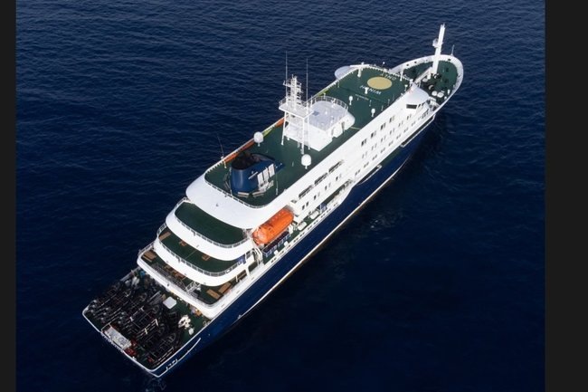 В США разыскивают более 20 пассажиров лайнера MV Hondius после вспышки хантавируса