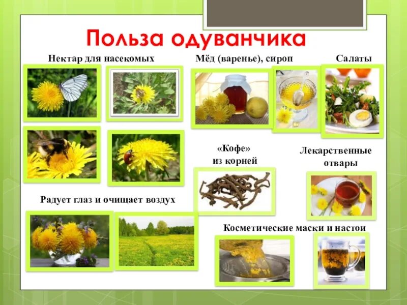 из свободного доступа интернета