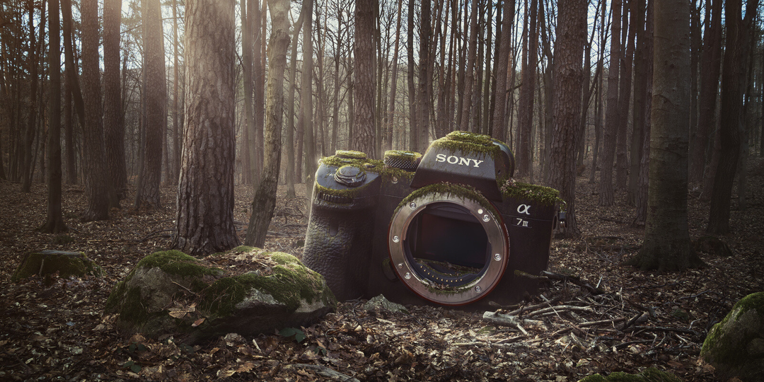 Правильное обращение с фототехникой — лучший способ не платить за ее ремонт