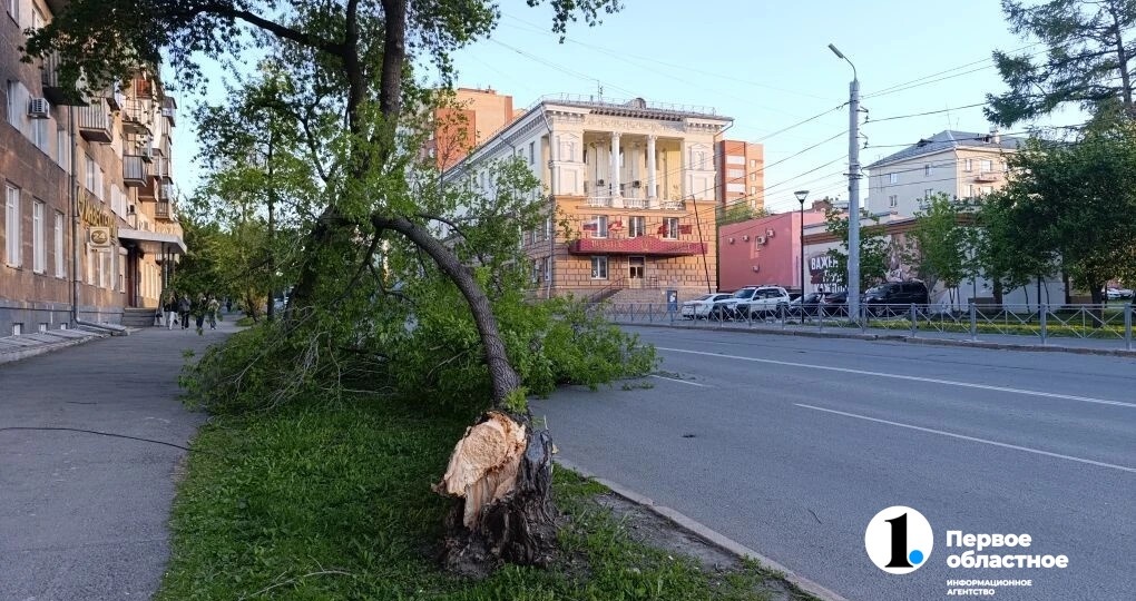 В центре Челябинска ветер сорвал несколько деревьев