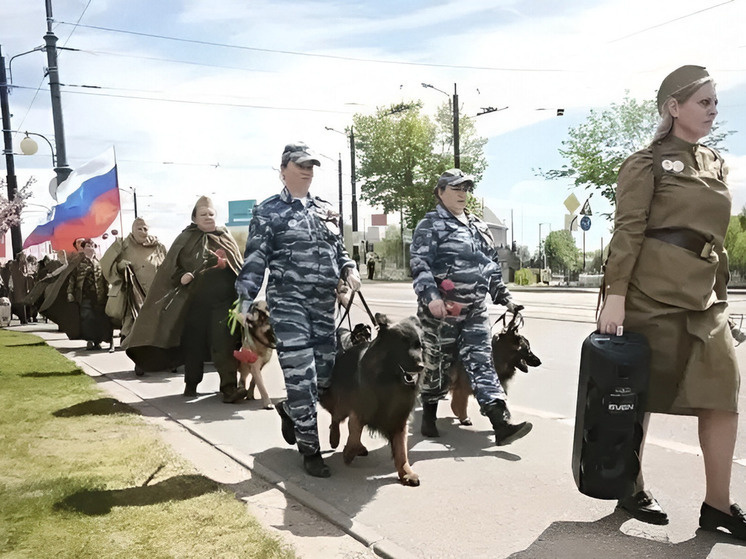     Собаки и кинологи устроили патриотический марш. Фото: МАКС-канал УМВД России по Калининградской области.