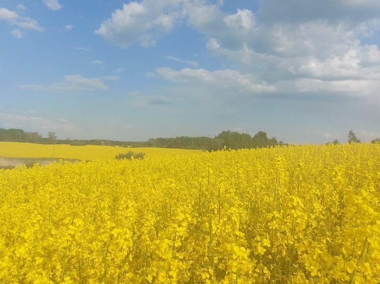     В регионе начался самый фотогеничный сезон года. Фото: Виктория Вишневецкая.