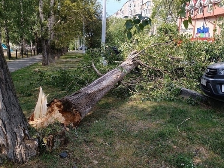     Фото: Николай Курилов / МК-Урал