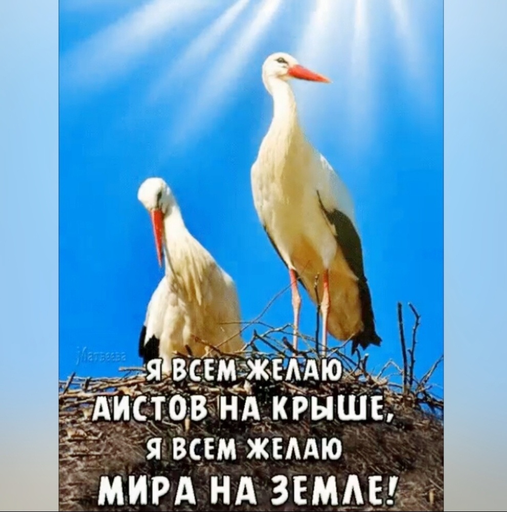"Одноклассники"