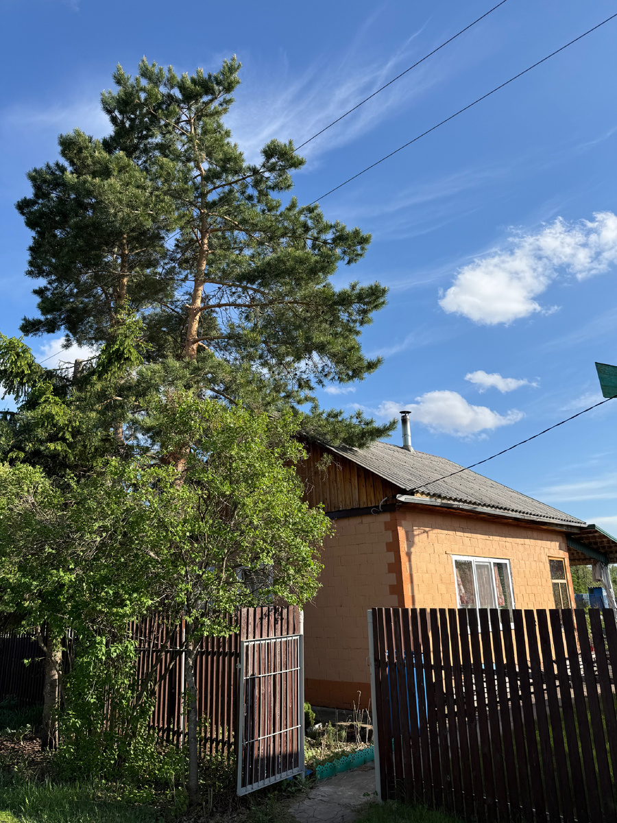 🏡