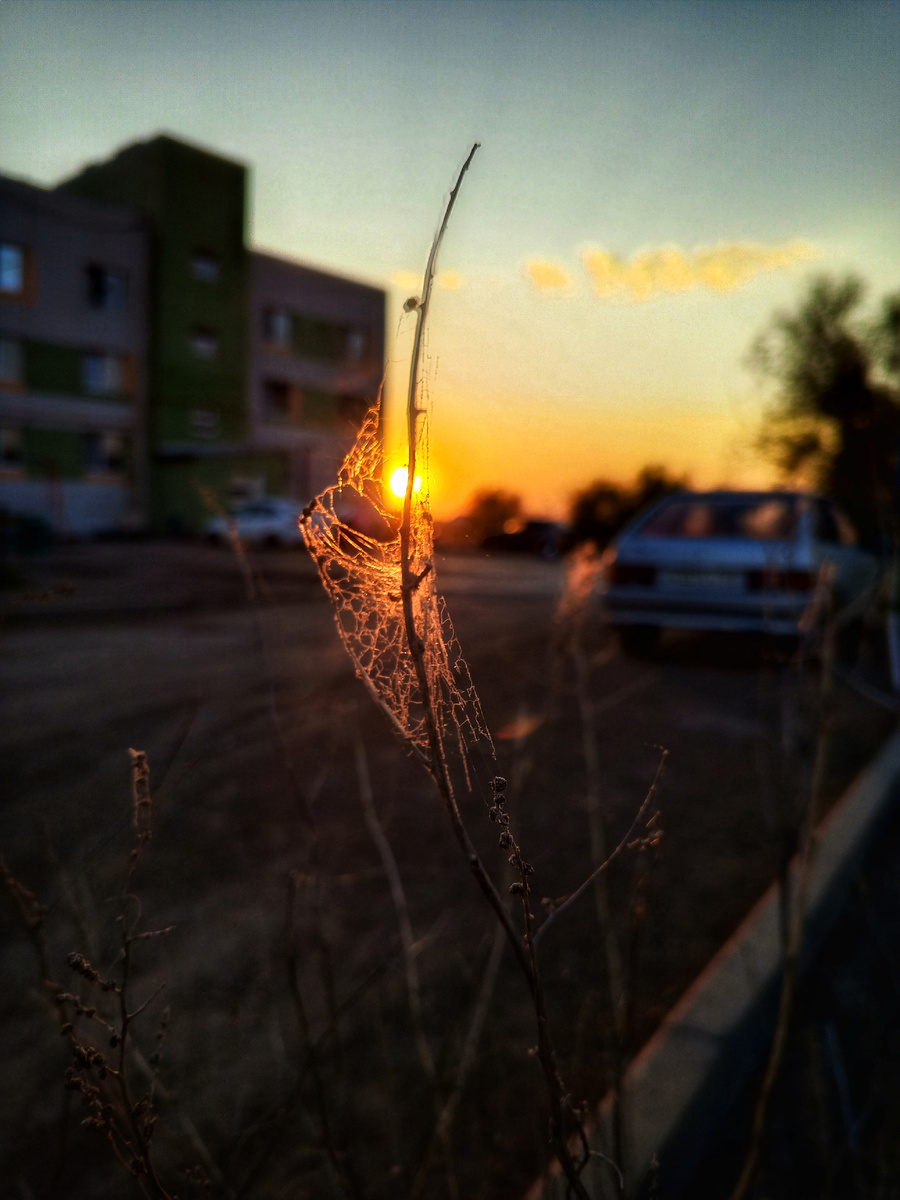 Моё фото в обработке