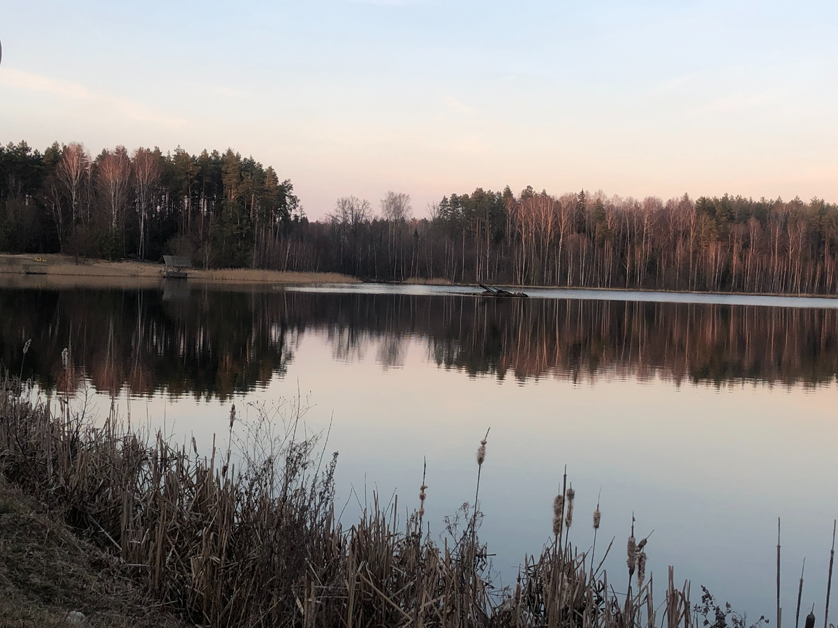 Старосельский пруд - дорога от с. Кудрявец в деревню Палькевичи.