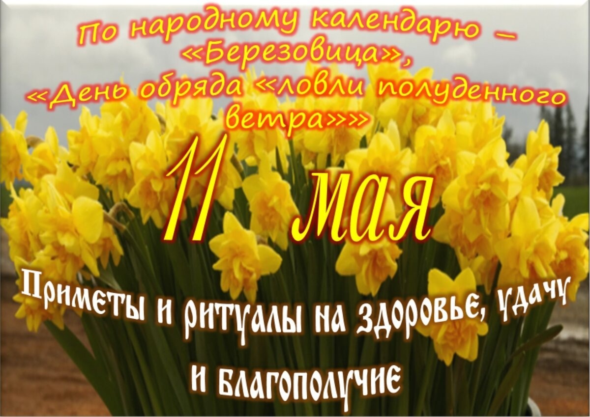 Встречаем новый день