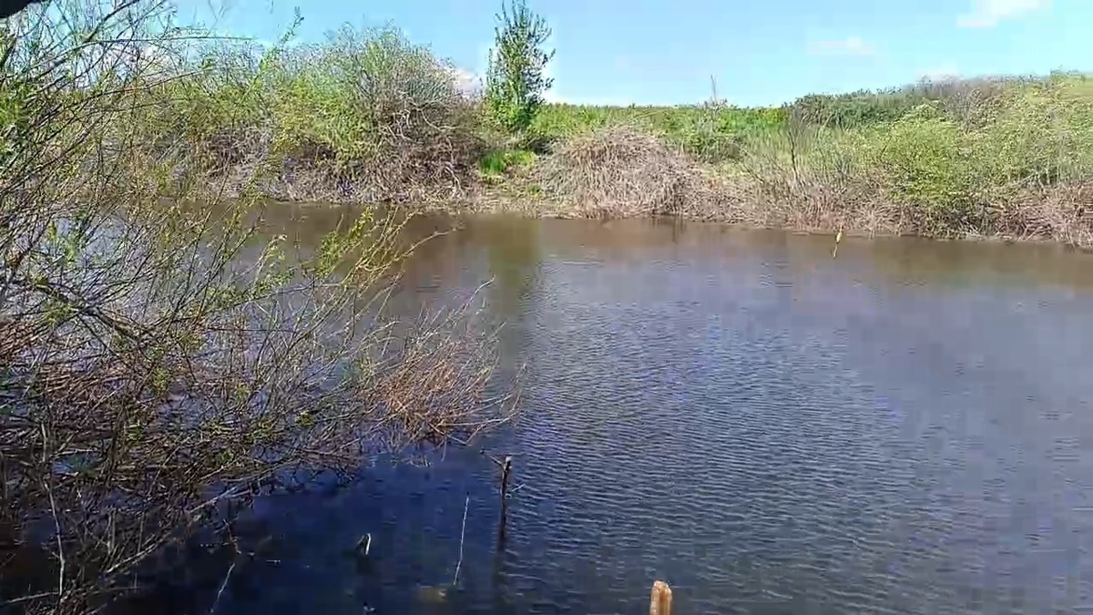 Водоём