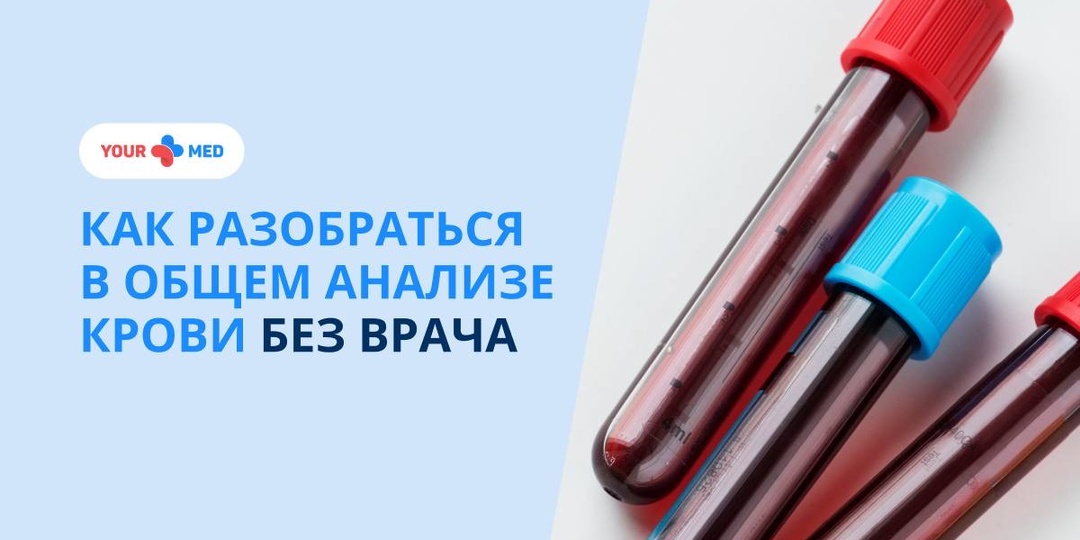 Как читать результаты общего анализа крови: объясняем простыми словами
