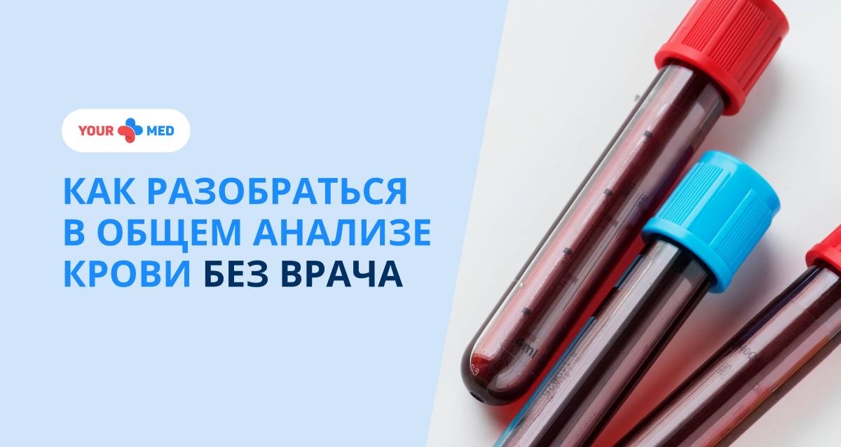 Разбираем ключевые показатели ОАК и объясняем, что они могут означать для вашего здоровья
