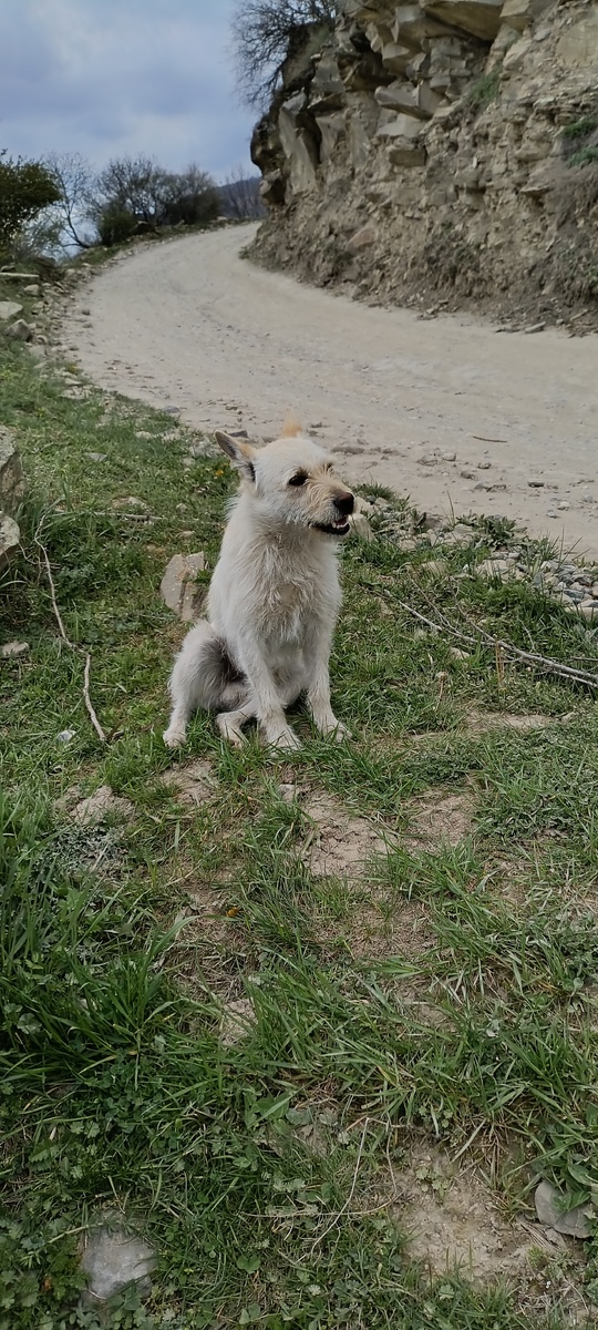 Наш маленький гид