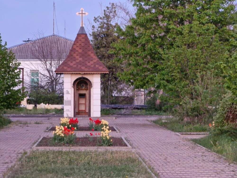    Фото: Е. Богачева. Газета "Земля"