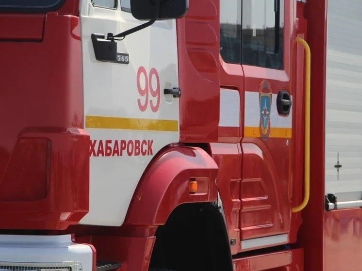     Возгорание на острове Кабельный Хабаровского края: спасатели приступили к тушению. Фото: Ольга Григорьева