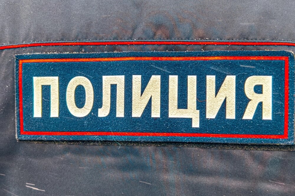    Фото: АиФ/ Дмитрий Еланаков