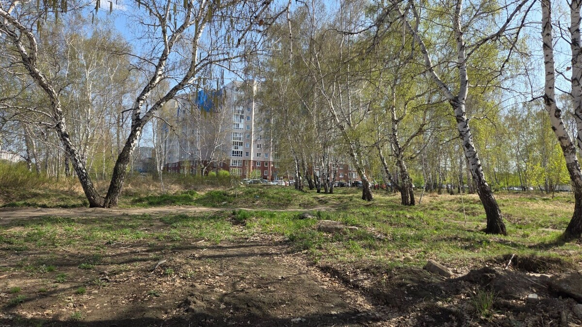    В Омской области под конец майских праздников похолодает до -5   gorod55.ru