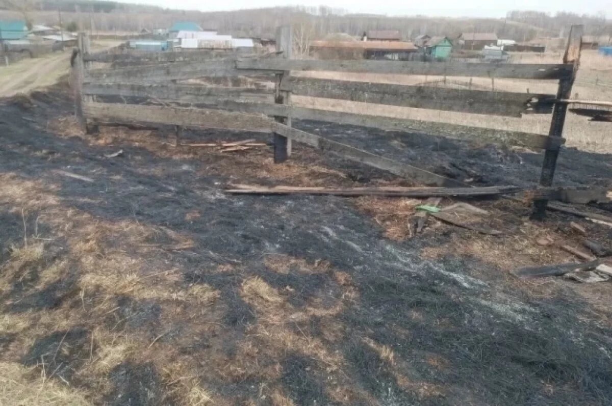    В Дубинино братья 8 и 10 лет устроили пожар площадью более 50 кв. м.