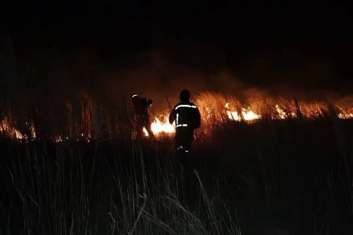    В Хабаровске пожарные отстояли от огня дачи на острове Кабельном