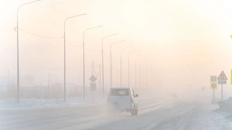    Фото: Сергей Зубков / «Ямал-Медиа»
