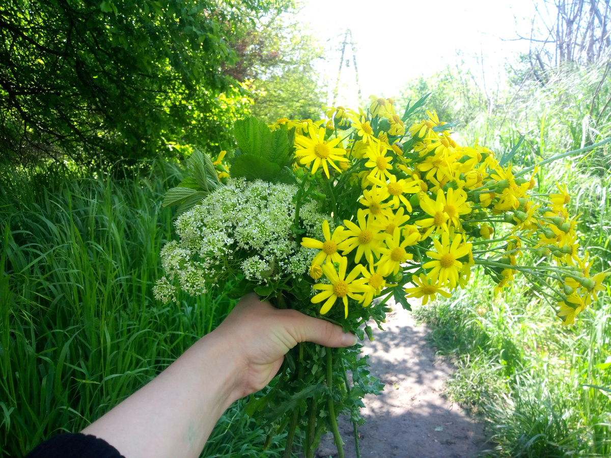 Букет из дикорастущих цветов (Bouquet of wild flowers)