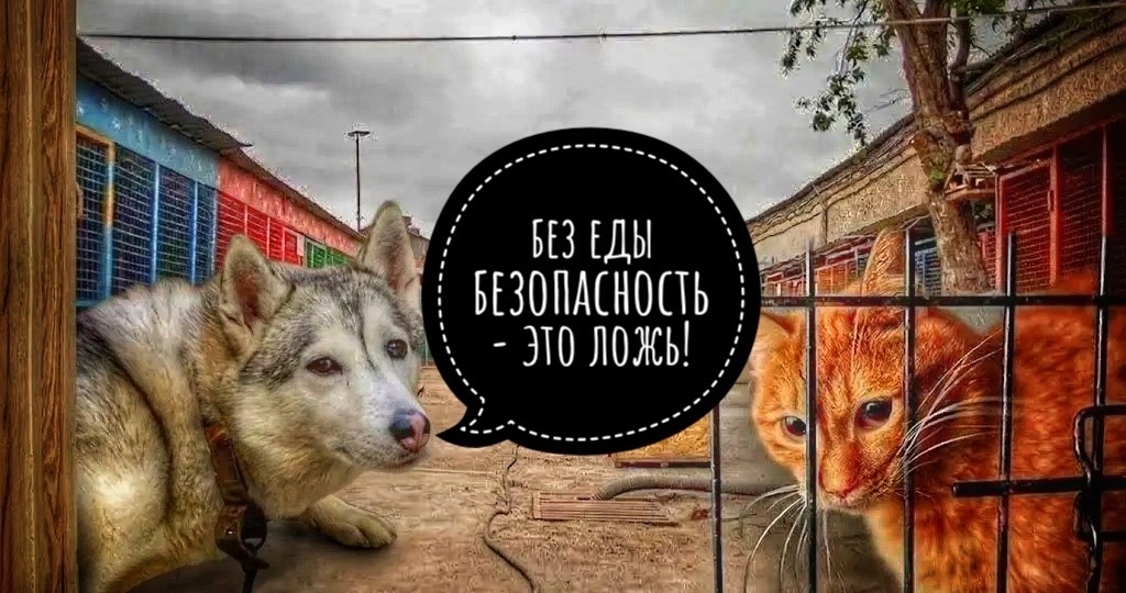 Но, ведь безопасность без еды - это ложь!