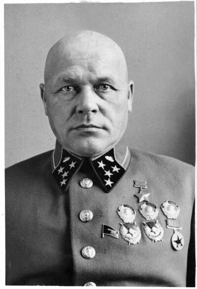 Дмитрий Григорьевич Павлов. В качестве примера. 