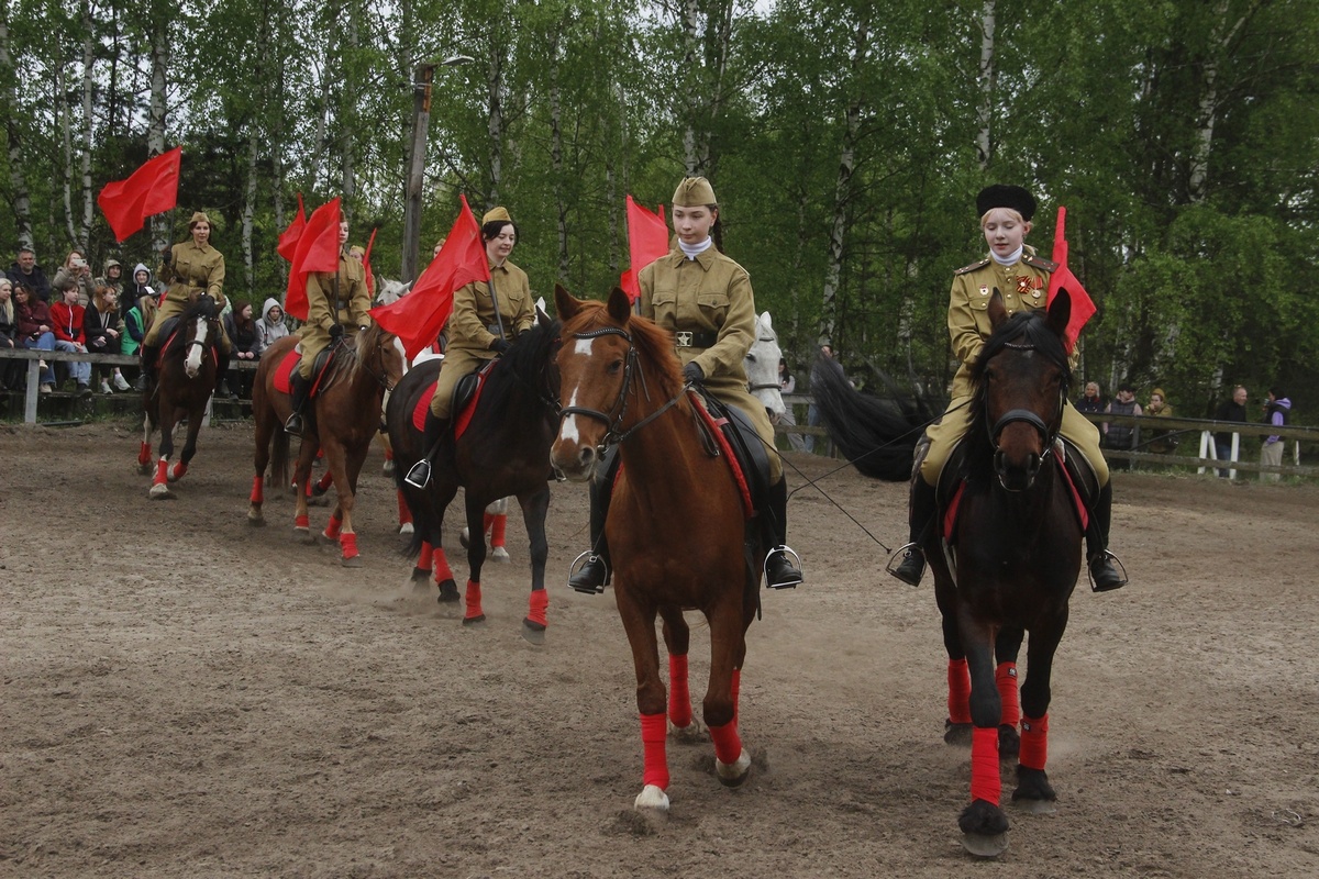    Фото: КСК "Рязанский табунок"