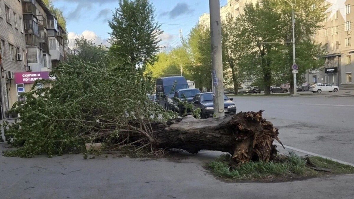   «КП-Екатеринбург»