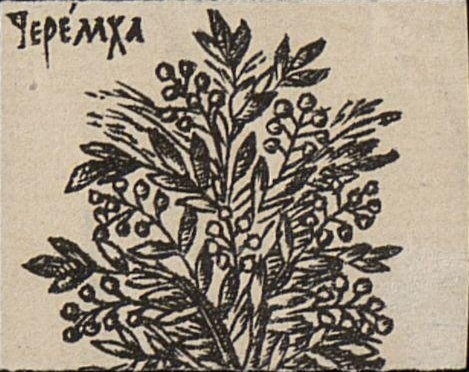 Рисунок из «Букваря» Кариона Истомина издания 1694 года