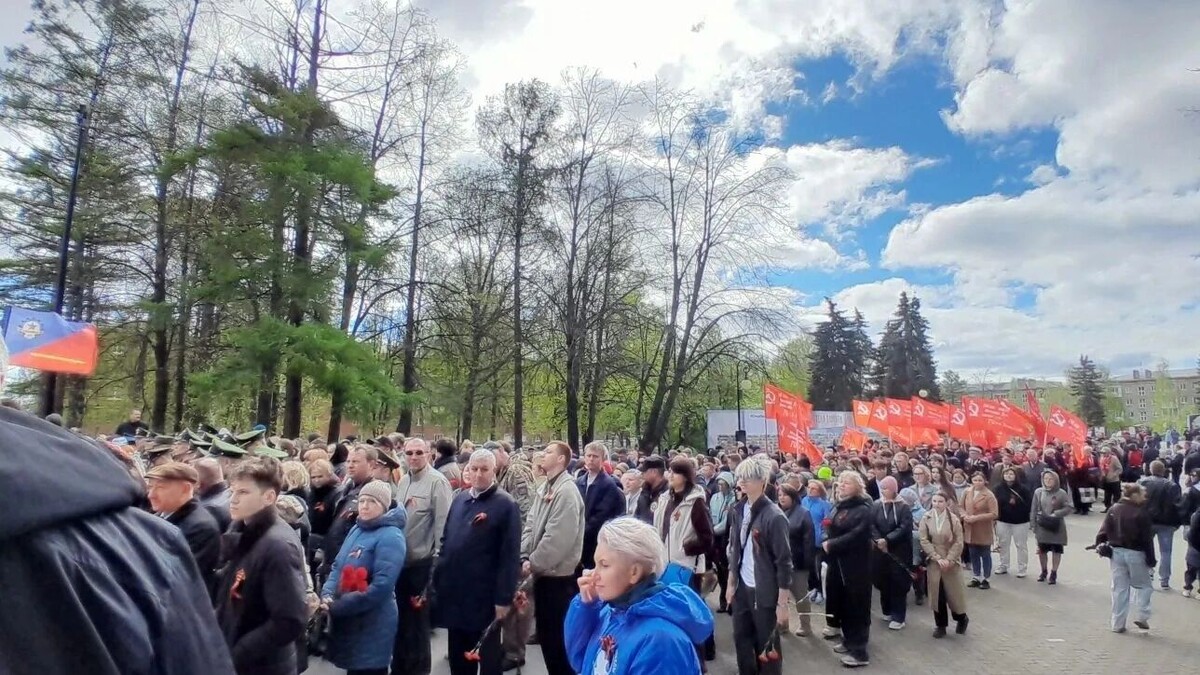   udm-info.ru