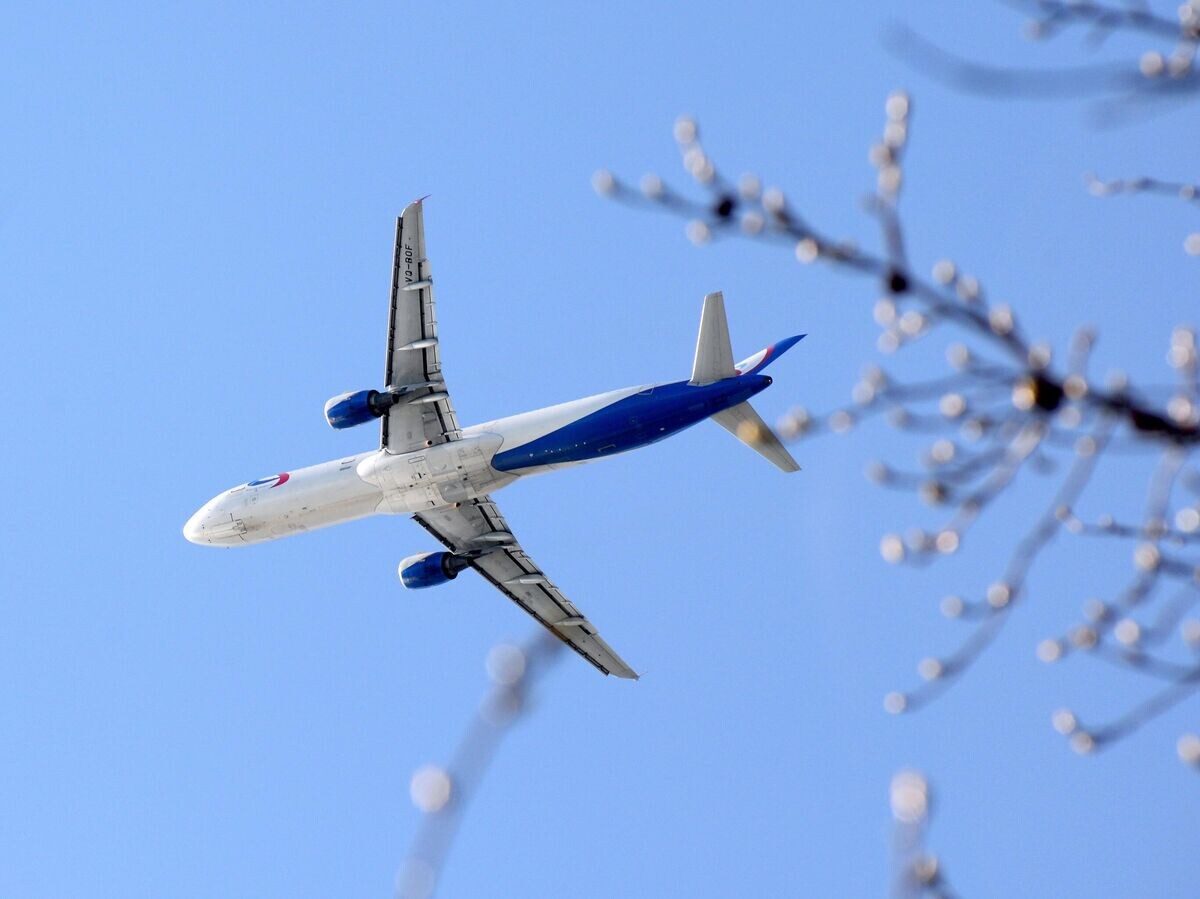    Самолёт Airbus A321 авиакомпании "Уральские авиалинии" летит в небе над городом Сочи | © РИА Новости / Игорь Онучин