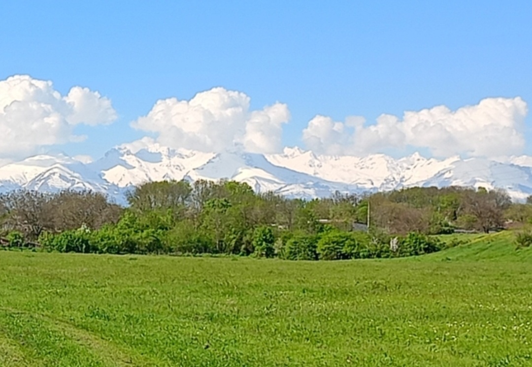 Фото автора. 