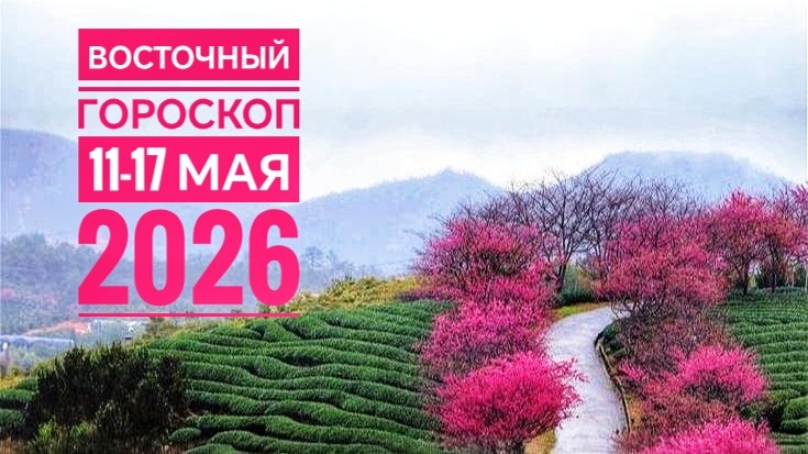 Восточный гороскоп на неделю 11–17 мая 2026: не спешите, наводите порядок и берегите нервы