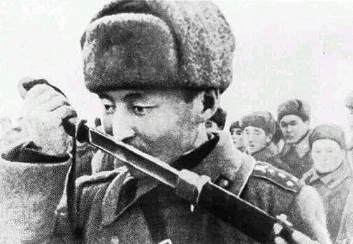 Сталин принял решение: «Отказать!». Как «Черная Смерть» навела ужас на гитлеровцев и вызвала опасения Жукова