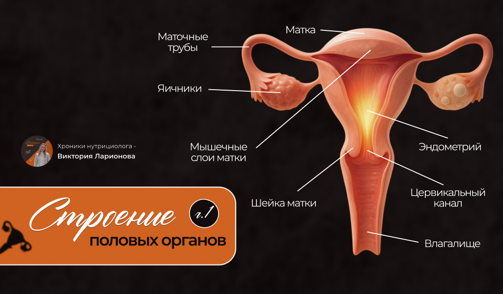 Обложка для поста эндометриоз, описание 