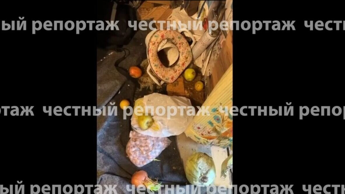    Кадр из видео с семьей   Честный репортаж / тг-канал