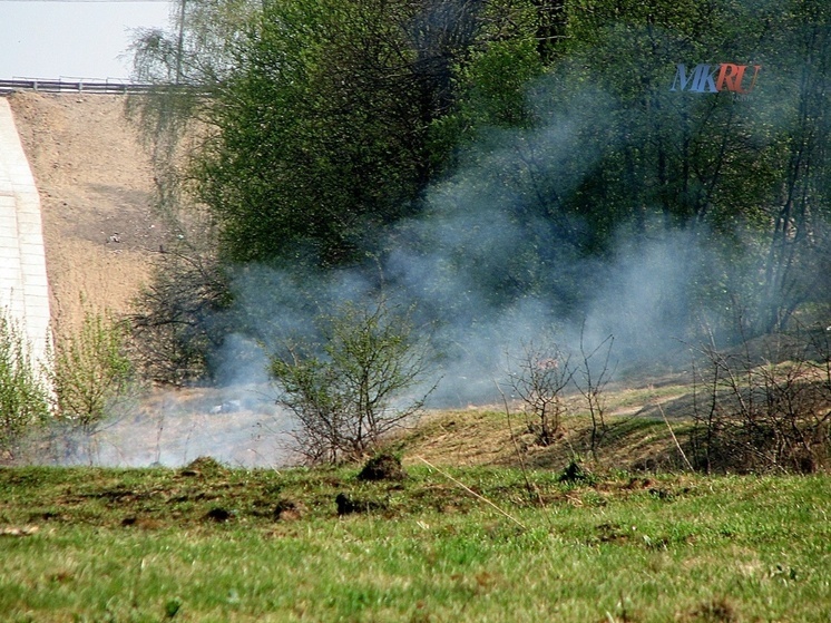     Фото: "МК в Калуге".