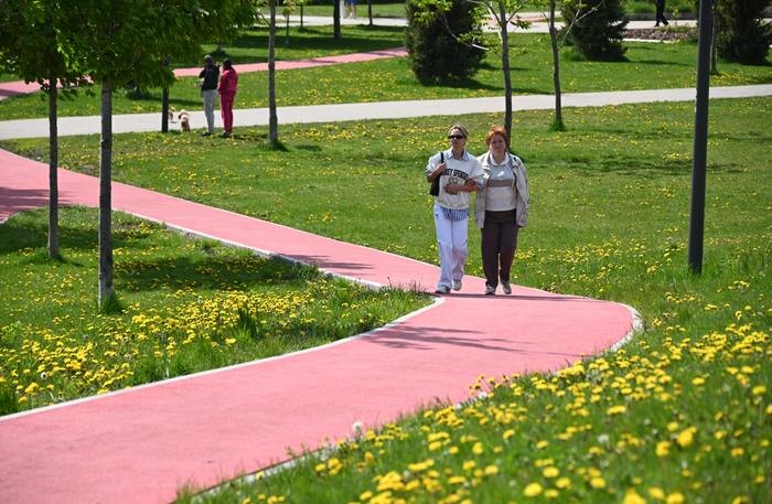 Обложка © Life.ru