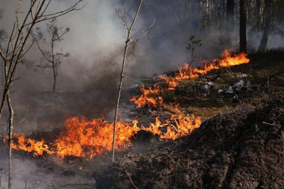     / Источник: © Государственная служба Украины по чрезвычайным ситуациям