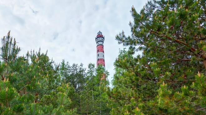 Фото: https://tamtravel.ru/leningradskaya-oblast/stati-o-turisme-v-leningradskoj-oblasti/osinovetskij-mayak/