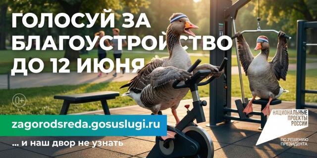 В голосовании за объекты благоустройства приняли участие более 85 тысяч волгоградцев
