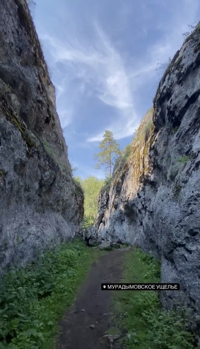 Одна из троп на смотровую площадку 
