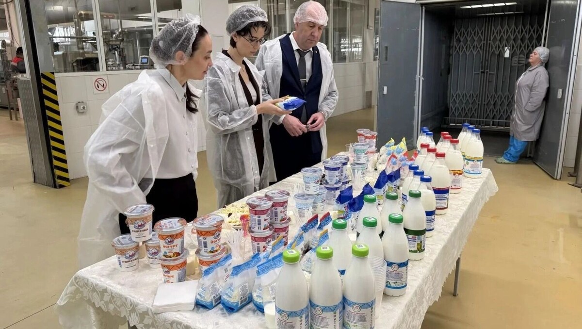    молокозавод в Мясниковском районе с начала года увеличил переработку на 6%, до 16 300 тонн   donland.ru