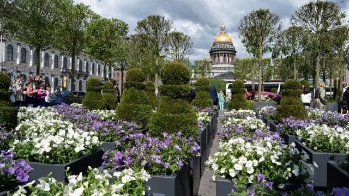   Законодательное собрание Санкт-Петербурга