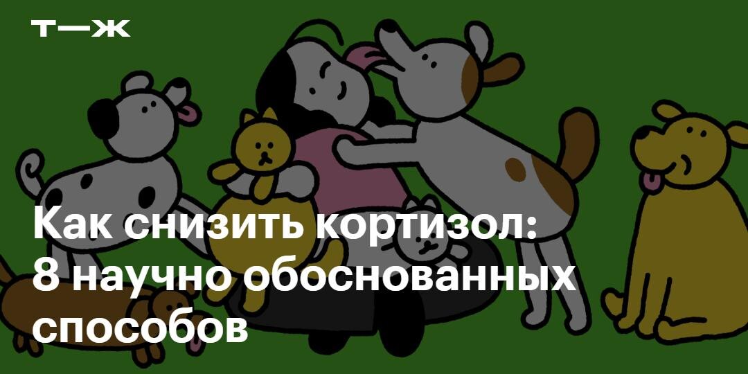 Друзья, через пять минут собираемся на мероприятие, посвященное снижению кортизола
