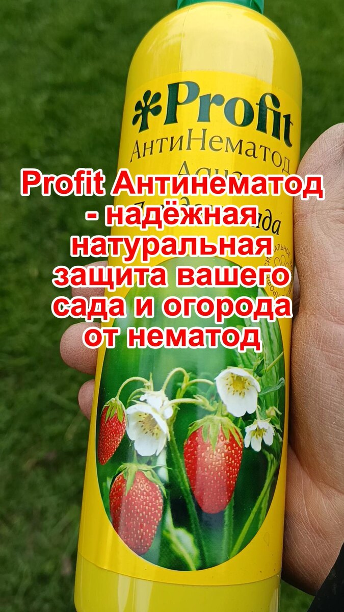 Профит Антинематод натуральный биопрепарат против нематод
