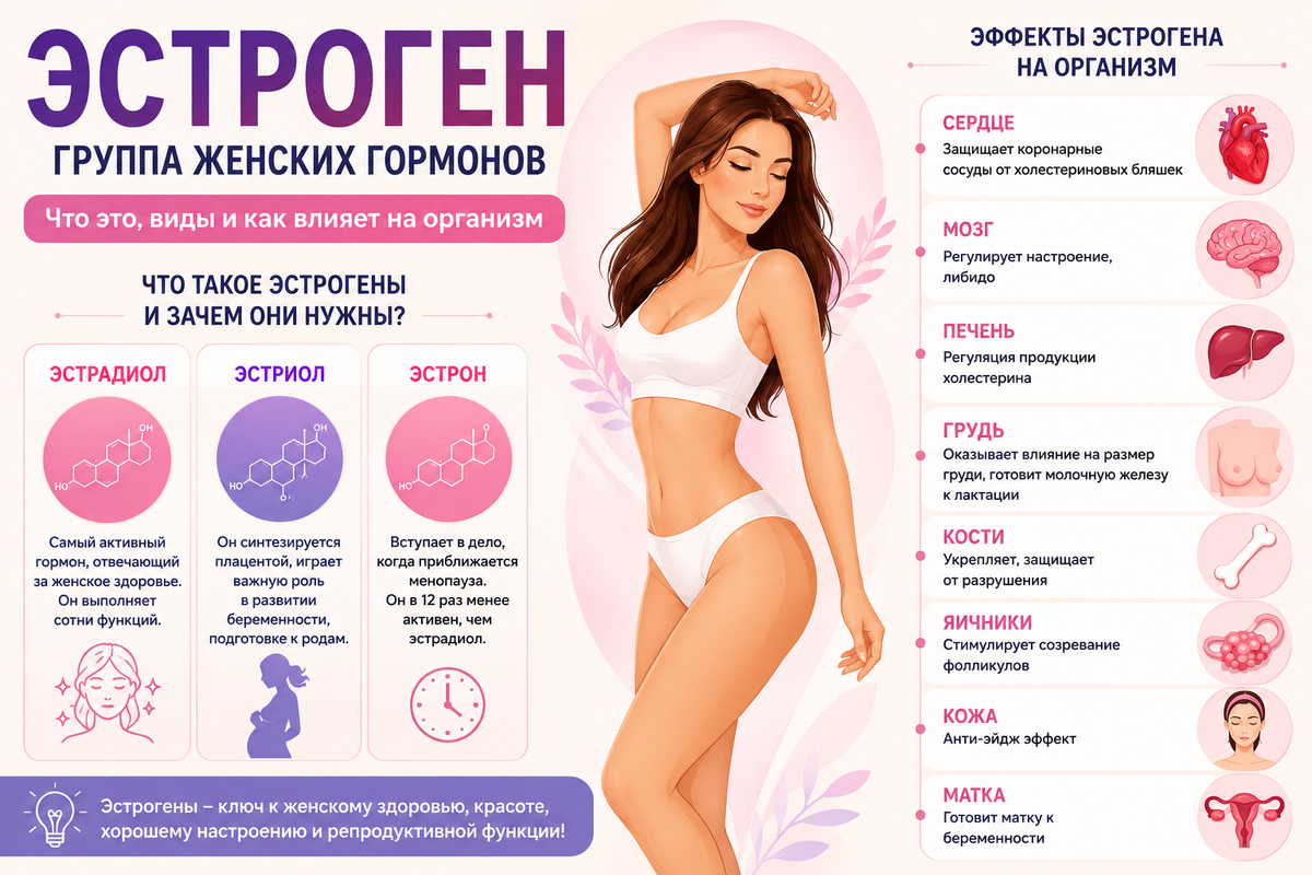 Эстроген. День цикла | Лия