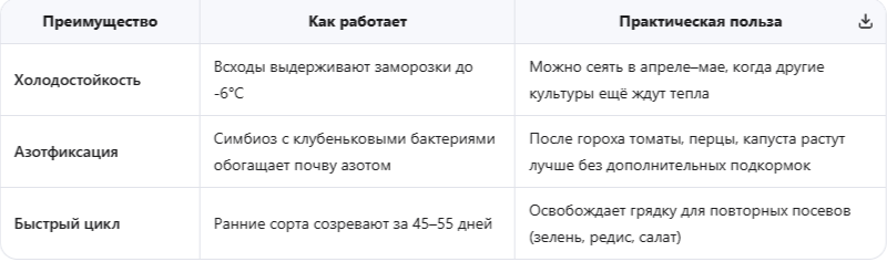 Три причины посадить горох ранней весной