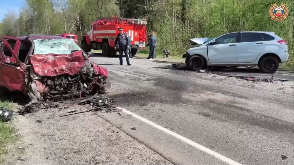    Соцсети / УМВД по Ярославской области