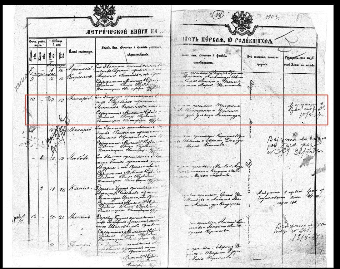 Так выглядят страницы метрических книг: записи о родившихся за 1903 год в селе Званном. В красной рамке - запись о рождении прадедушки. На правой странице, у самого края - приписка о вступлении в брак.